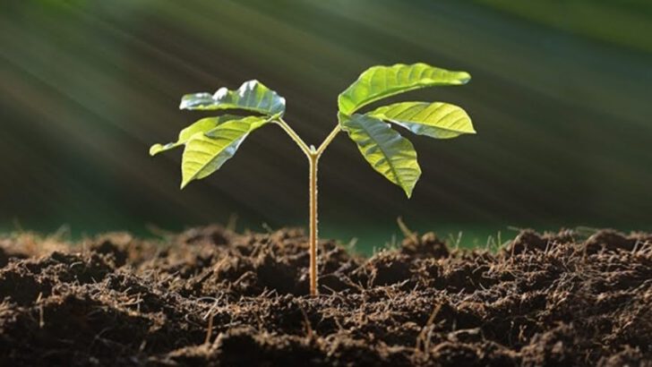 Üç aylar yaklaştı: Hazır mısın?