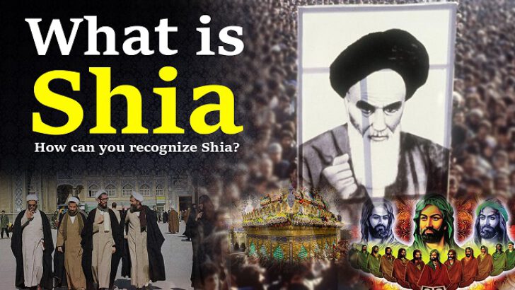 What is Shia? Şia Nedir? İngilizce Türkçe